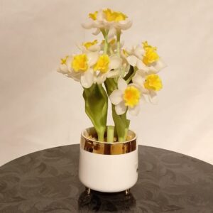 Ceramic Jar