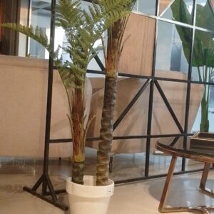 Planters 2
