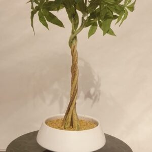 Ceramic Jar 5