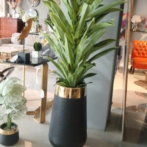 Planters