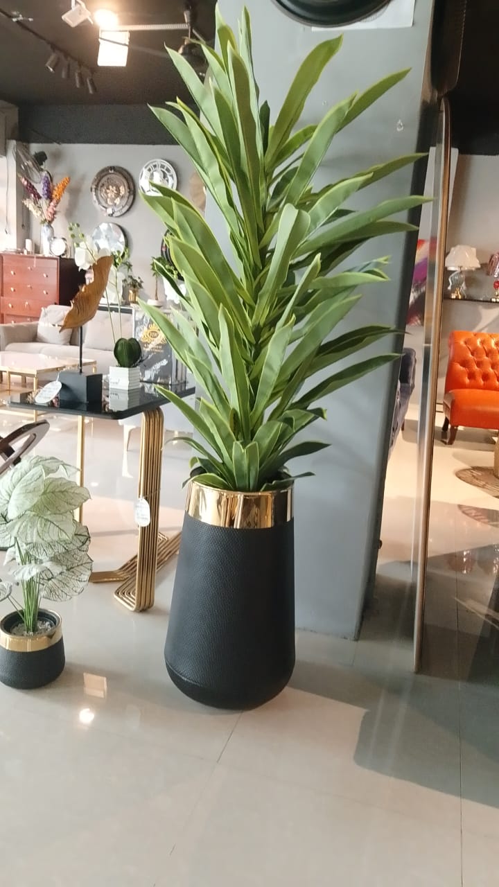Planters
