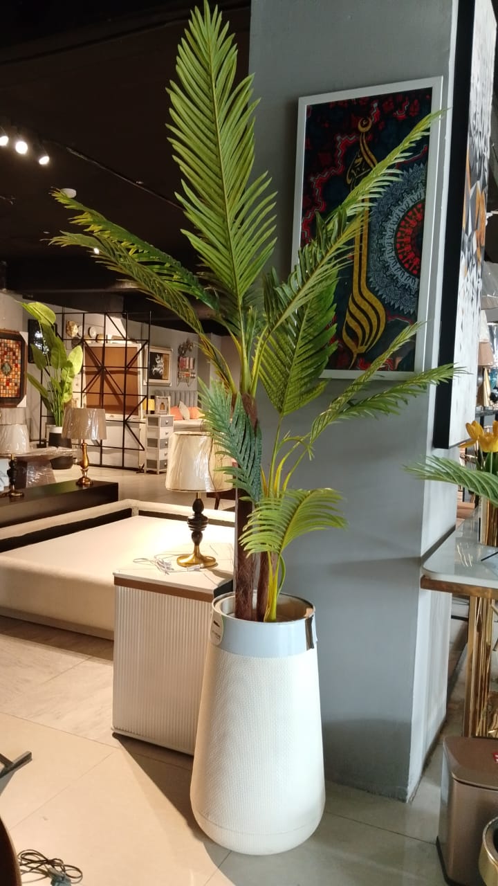 Planters 1