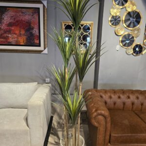Planters 4